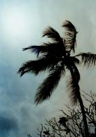 Am Strand 4 